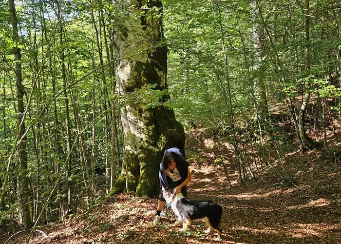 Costa E Mare Apartman Savona