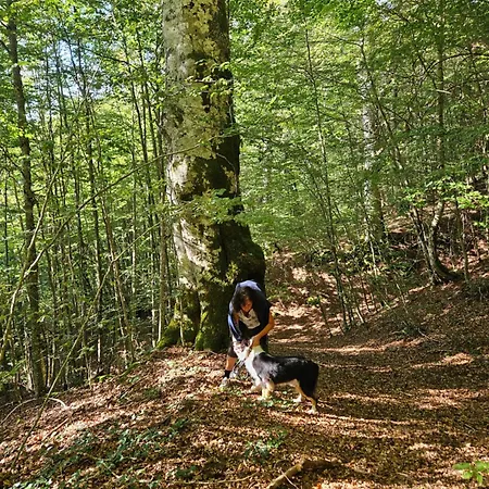 Costa E Mare アパート サヴォーナ