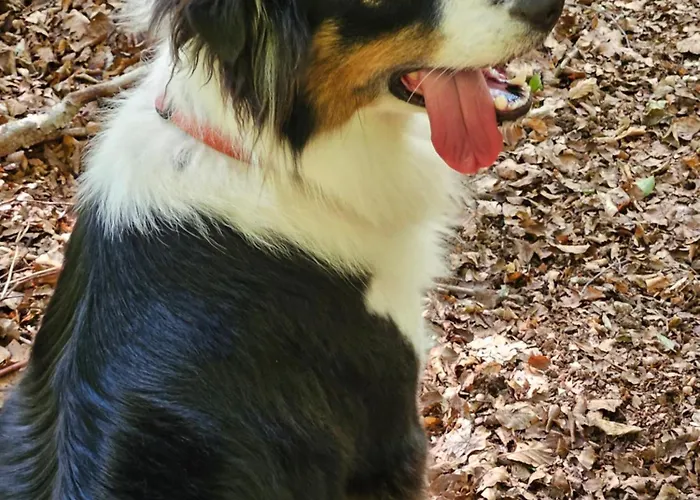 Costa E Mare Apartamento Savona